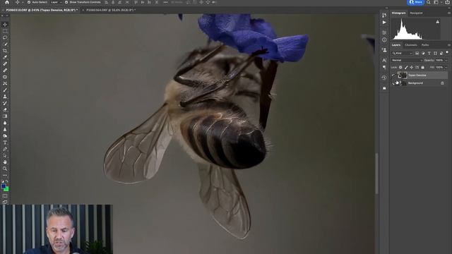 Topaz Tutorial - An intro to Denoise AI and Sharpen AI смотреть онлайн
