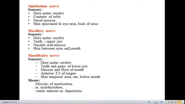 Cranial nerves anatomy. смотреть онлайн