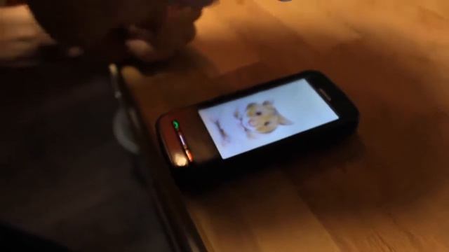 они смеются от души )))!!! смотреть онлайн