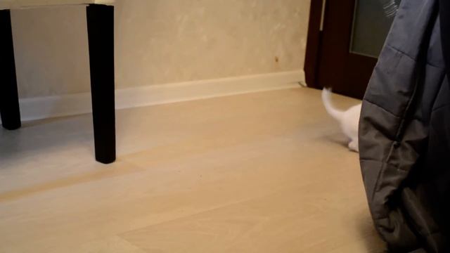 DSC 7418 смотреть онлайн