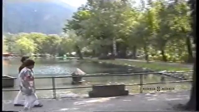 Puchberg a Schneebergnél смотреть онлайн