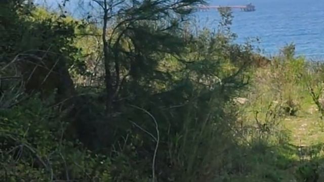 НА МОРЕ. ТУРЦИЯ 2023. смотреть онлайн
