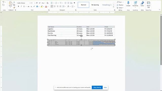 Print or Export your Data From Microsoft Project смотреть онлайн