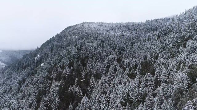 Анастасия Трифонова   Зима  #христианскиепесни #winter #worship #christianmusic #nature #landscape