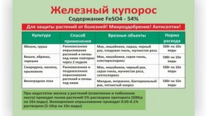 Железный купорос применение в садоводстве весной