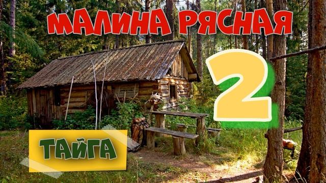 0827 - МАКАРЫЧ В ТАЙГЕ _ ТАЁЖНАЯ МАЛИНА _ МЕДВЕДЬ В КУСТАХ _ ЖИЗНЬ В ЛЕСУ 2 из 2.mp4 смотреть онлайн