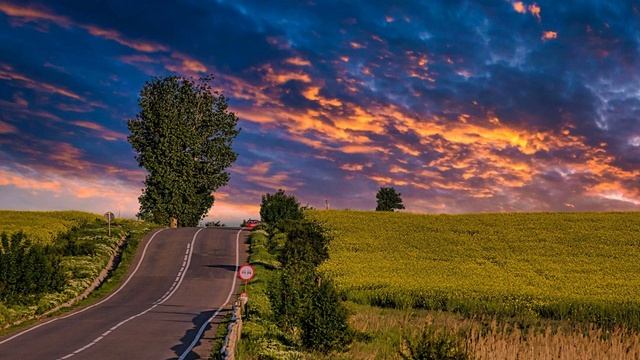 Fragile Beauty Slow Cinematic for relax/ Музыка для сна медитации и борьбы со стрессом Chillout смотреть онлайн