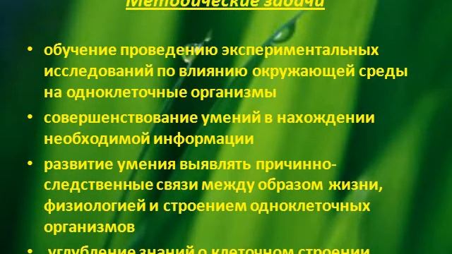 Простейшие 2 смотреть онлайн