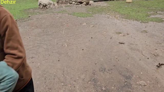 "Lost Sheep and the Sea of Water: A Story of the Epic Beginning of a Flood in the Nomadic Plain" смотреть онлайн