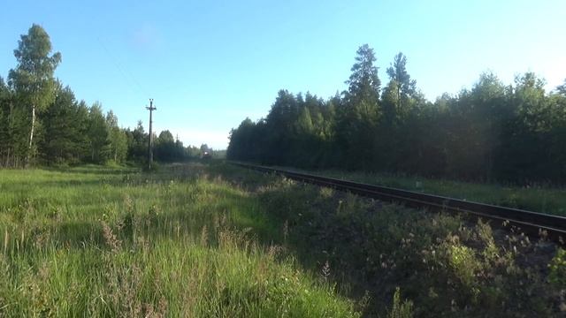 Магистральный тепловоз ДМ62-1871 с грузопассажирским поездом №962 Гродзянка - Осиповичи смотреть онлайн