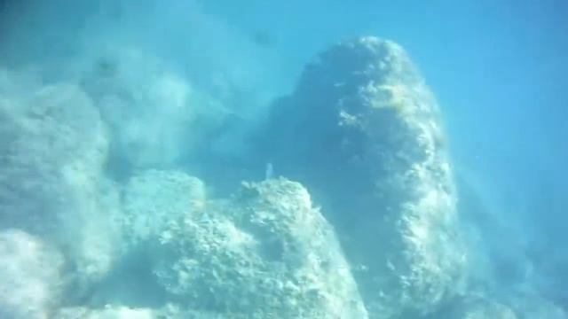 Крупная кефаль Лемассол новая 84ка смотреть онлайн