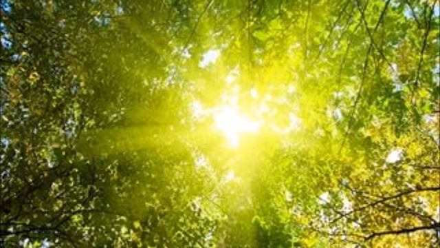 The mantra of enlightenment - OM SAT CHIT ANANDA смотреть онлайн
