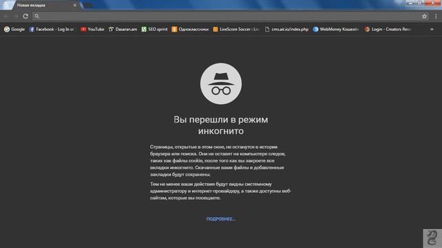 Как включить режим инкогнито в браузере Google Chrome смотреть онлайн