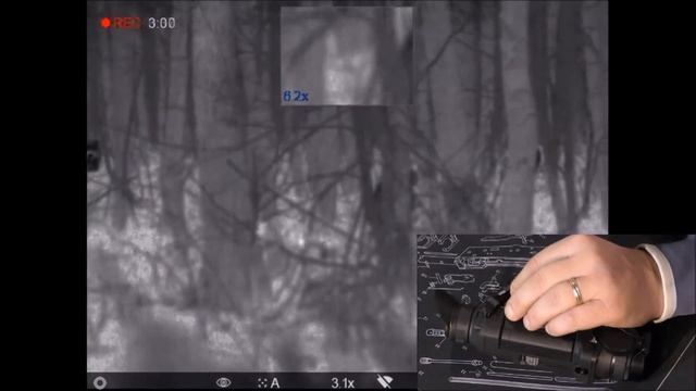 PULSAR HELION/ Выбор ТЕПЛОВИЗОРА для ОХОТЫ