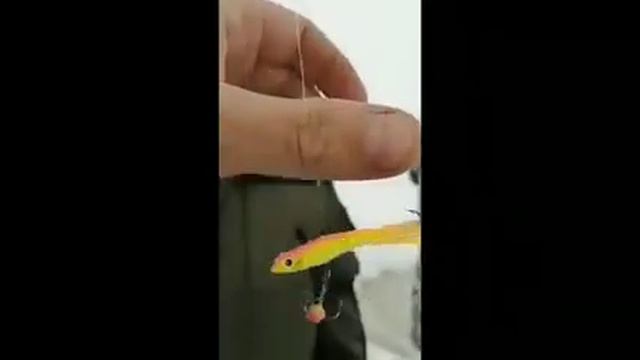 29 апреля 2020 г. смотреть онлайн