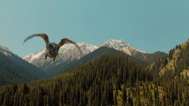 Финист. Первый богатырь