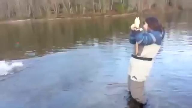 Прикол Взял жену с собой на рыбалку Ржач !!! смотреть онлайн