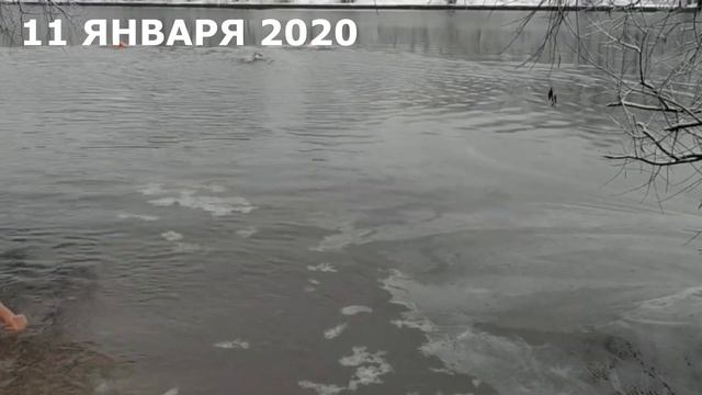 Занятие по закаливанию организма в клубе "МОРЖИ СТОЛИЦЫ" смотреть онлайн