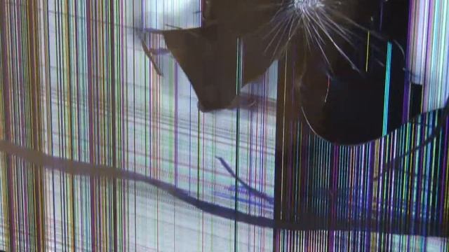 №154. LG 42LF620V-ZB на запчасти EAX66203001(1.6), LGP3942D-15CH1 смотреть онлайн