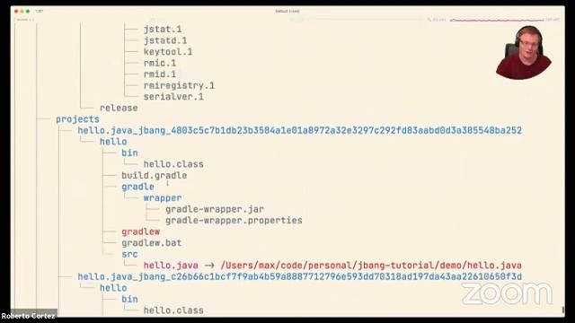 JBang - Using Java to make Java better? смотреть онлайн