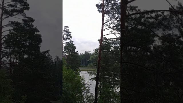 Волшебство Алтайской природы#nature#природа#звукиприроды#алтай#релакс#relaxing#relax смотреть онлайн