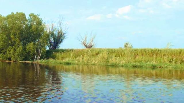 Природа Приобья смотреть онлайн