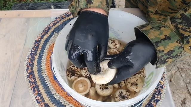 Йога и Фитнес для Начинающих