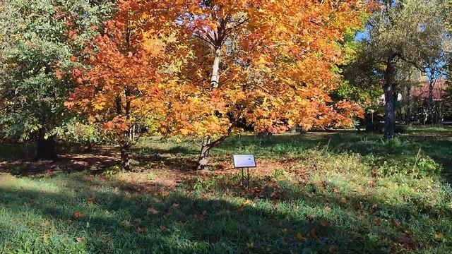 Красивые места Белоруссии. Смолевичи смотреть онлайн