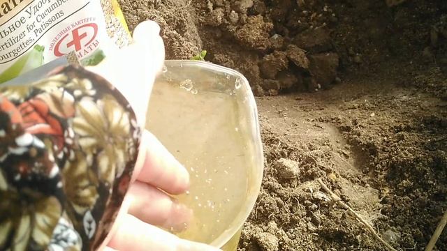 Сажаем огурцы смотреть онлайн