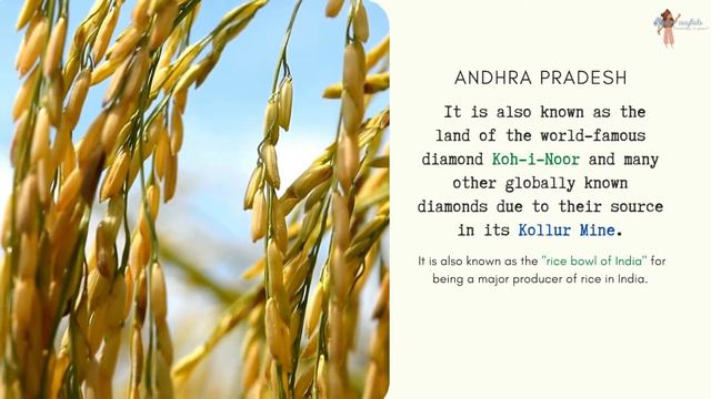 India |Explore India |Neighboring Countries |Indian Geography |States & UTs |India Facts