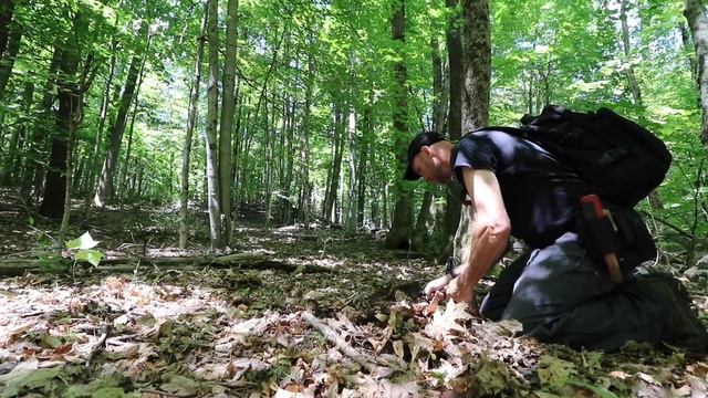 Always have a plan b metal detecting & exploring if you want to find stuff смотреть онлайн