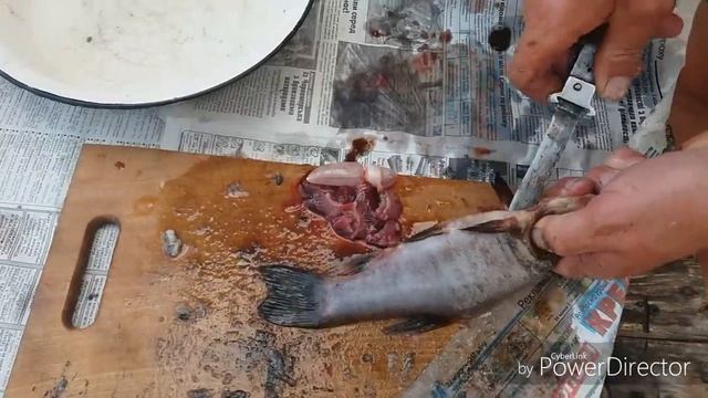 Мастерство в Деталях