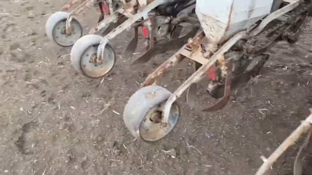 Посев подсолнуха МТЗ-80 + СУПН-8 20.04.22 смотреть онлайн