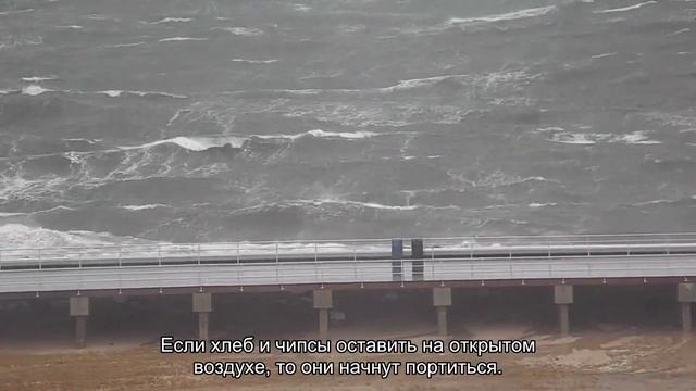 Почему залежавшийся хлеб становится твердым, а залежавшиеся картофельные чипсы – мягкими смотреть онлайн