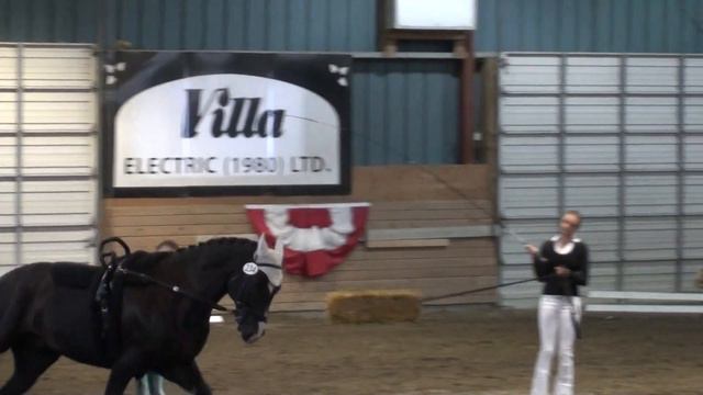 West Coast Danielle Adams Freestyle Round 1 VaultCanada Individual Canter A Women 2015 BC смотреть онлайн