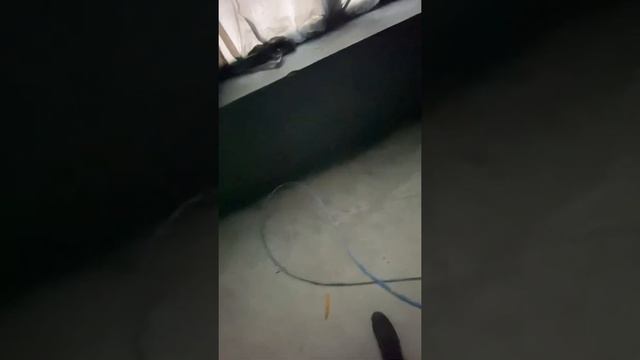 Покраска склада безвоздушным аппаратом,валиком,кисточкой #Промпокраскаспб смотреть онлайн