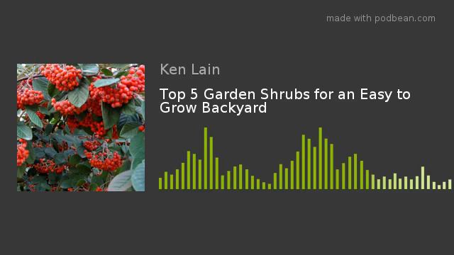 Top 5 Garden Shrubs for an Easy to Grow Backyard смотреть онлайн