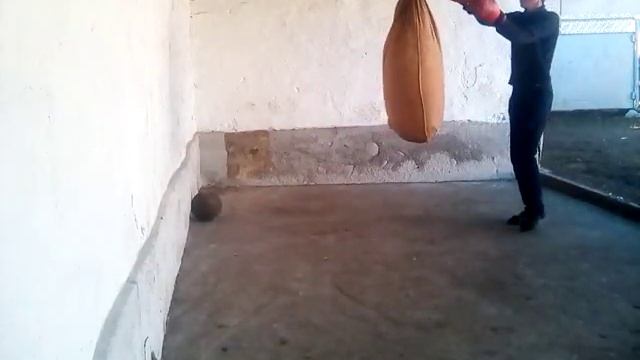 Самостоятельные тренировки боксом смотреть онлайн