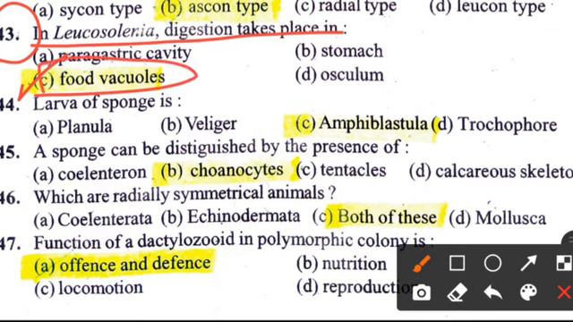B.Sc First year zoology first paper mcq's || Lower non chordata || #bsc1year #lower_non_chordata смотреть онлайн