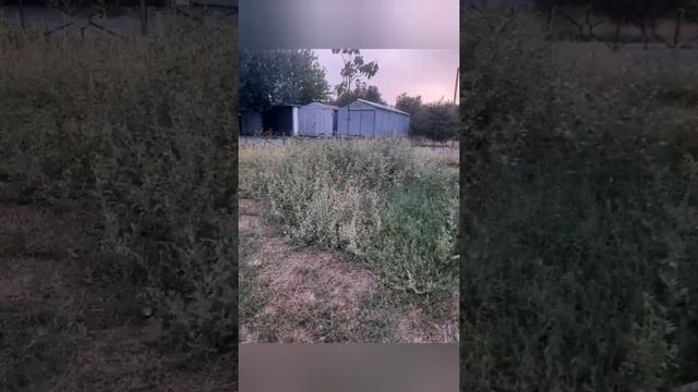 До каких пор жители города Новочеркасска будут проживать в таких опасных условиях? смотреть онлайн