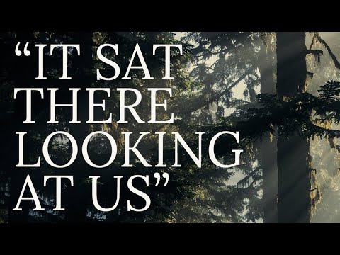 KIDS ENCOUNTER BIGFOOT CREATURE SITTING ON A TREE STUMP