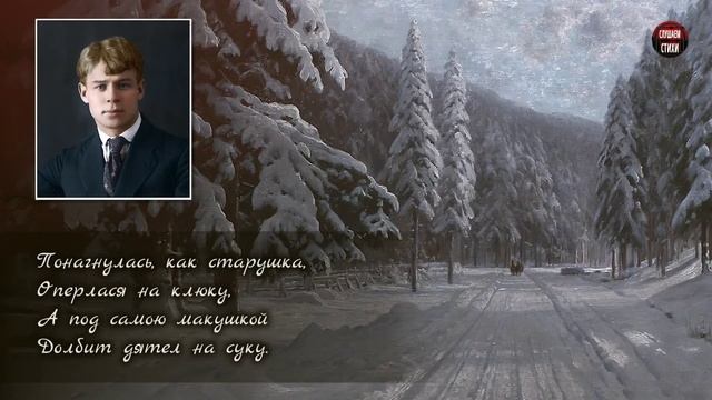 Дмитрий Подшивалов - Мысли смотреть онлайн