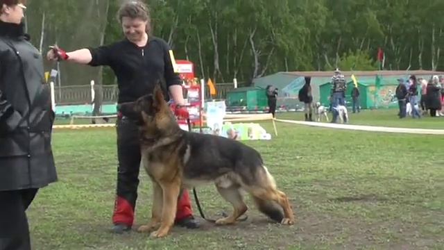 Всероссийская выставка Омск май 2014 Герман из ТД смотреть онлайн