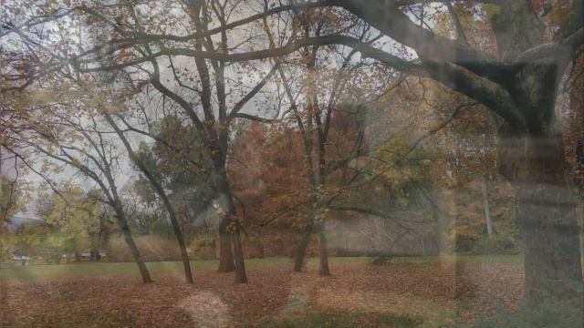 Song From A Secret Garden - Crisóstomo Trio