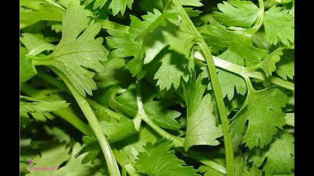 AGENT PROVOCATEUR Туалетная Вода Спрей смотреть онлайн