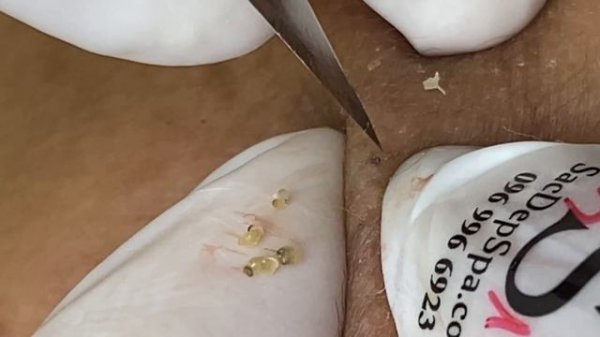 Relax Every Day #SacDepSpa455