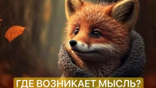 ГДЕ ВОЗНИКАЕТ МЫСЛЬ | медитация для детей | ДУМАЙ ПОЗИТИВНО| создаём счастливое будущее| смотреть онлайн
