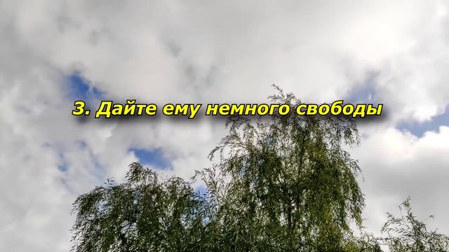 5 способов стать для него лучшей девушкой в мире (совет от мужчины). смотреть онлайн