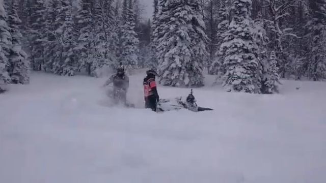 121-ый вокруг 155-ых смотреть онлайн