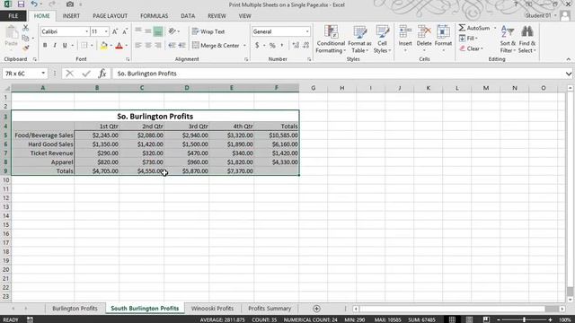 Excel 2013: Use The Camera Tool To Print Multiple Sheets On A Single Page смотреть онлайн